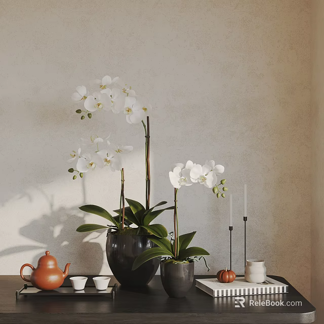 Elegant Decorative Ornament Combination With White Orchids Teapot And Candles In Black Pots 3d model 