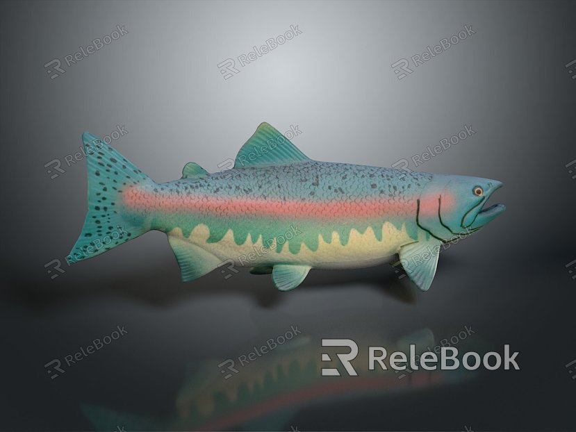 Catfish Carp Sturgeon Bass Freshwater Fish Various Carp Grass Carp Crucian Carp model