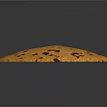 Golden Round Cookie with Dark Brown Chocolate Chips on Gray Background