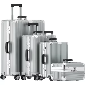 Modern Luggage 3d model