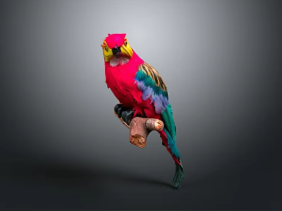 parrot xuanfeng parrot budgerigar monk parrot little sun parrot peony parrot senegal parrot 3d model