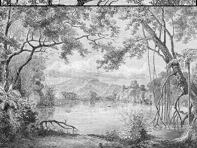 Natural Landscape Components Featuring Trees Lake Distant Mountains And Boat In Drawing 3d model