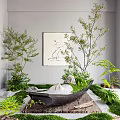 Serene Indoor Landscape With Gray Wall Minimalist Art Tree-like Plants Ferns Moss And White Stones