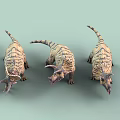 Three Triceratops Reptiles With Horns Frills And Patterned Skin On Light Green Background