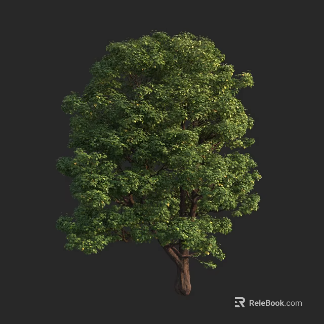 Lush Green Arbor With Dense Foliage And Sturdy Trunk Isolated On Dark Background 3d model