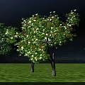 Arbor Trees with Green Leaves and Red Fruits Growing on Lush Grassland Under Blue Sky