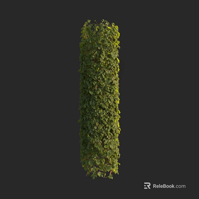 Lush Green Vine Covered Pillar Against Black Background With Dense Foliage 3d model 