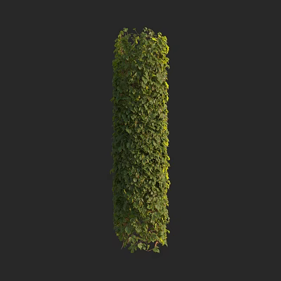Lush Green Vine Covered Pillar Against Black Background With Dense Foliage 3d model