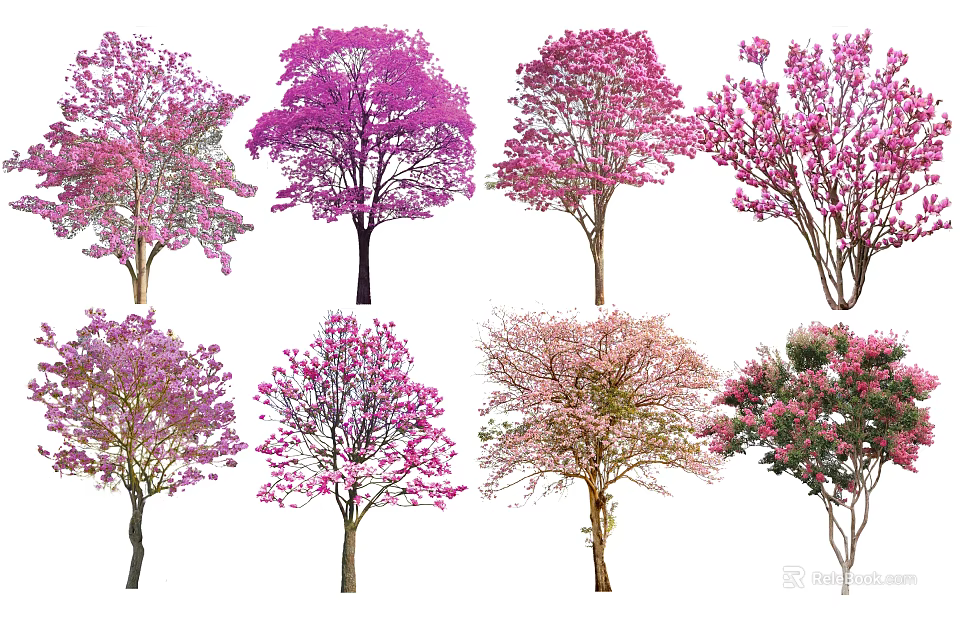 Vibrant Flowering Arbor Trees with Pink and Purple Blossoms in Garden 3d model 