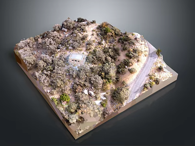 Detailed Scenic Landscape Model with Hills Vegetation and Winding Road 3d model