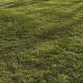 Modern Grass Green Lawn 3d model