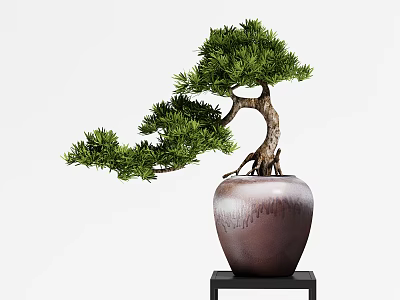 Curved Trunk Bonsai Plant With Green Foliage In Brown Ceramic Pot On Black Stand 3d model