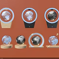 Decorative Ornament Set With Wall Mounted Circular Transparent Globe Bases And Shelf 3d model