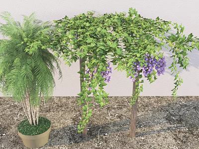 Lush Green Vine With Purple Flowers Growing On Wooden Poles In Garden 3d model