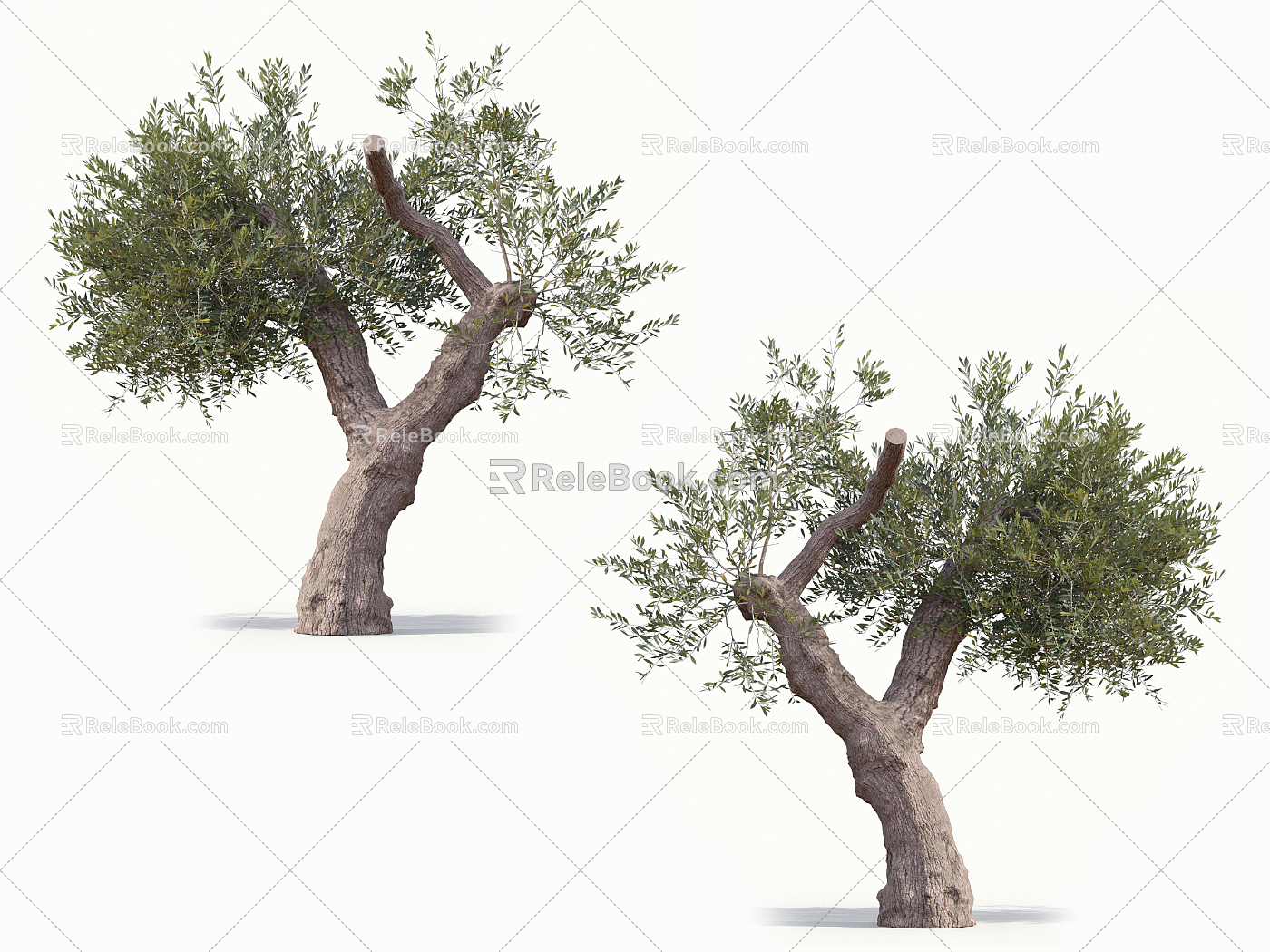 The Modern Tree 3d model