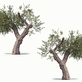 The Modern Tree 3d model