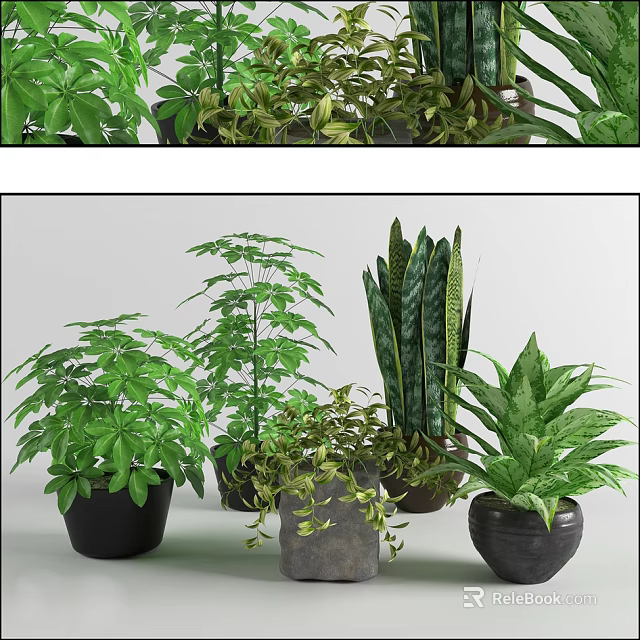 Assorted Green Potted Plants with Lush Foliage for Indoor Home Decor 3d model 