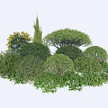 Various Lush Green Shrubs With Different Shapes Dense Foliage And Yellow Flowers