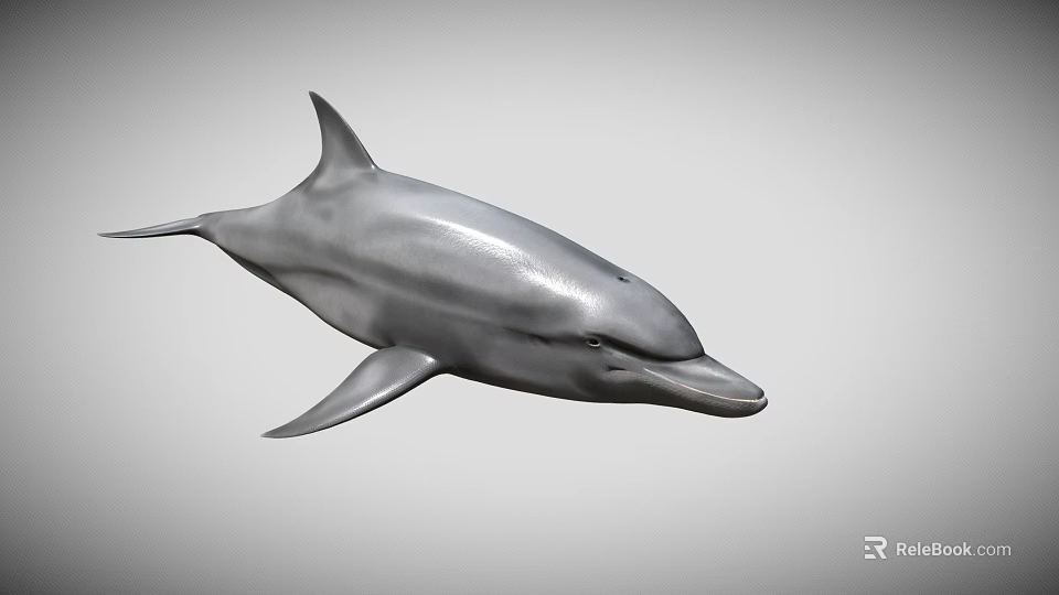 Realistic Dolphin 3D Model With Smooth Skin And Fin Details 3d model 