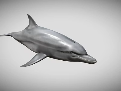 Realistic Dolphin 3D Model With Smooth Skin And Fin Details 3d model