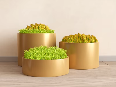 Potted Plants With Green And Yellow Foliage In Three Golden Pots For Indoor Wooden Floor 3d model