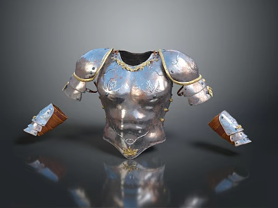 Household Decorative Silver Armor With Gold Accents Chest Plate And Brown Leather Arm Guards 3d model