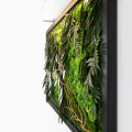 Modern Indoor Living Plant Wall Design With Lush Ferns Moss And Hanging Vines