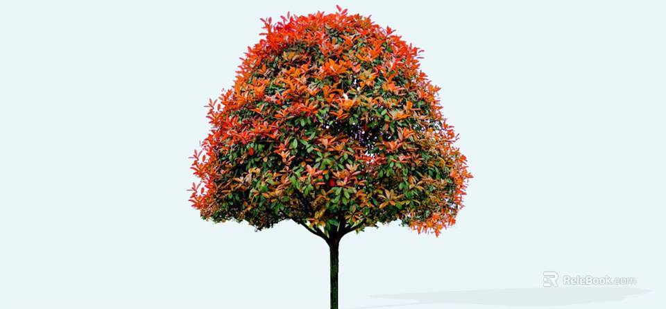 Vibrant Arbor With Red And Green Leaves And Rounded Crown Shape 3d model 