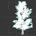 Healthy Green Tree With Lush Green Leaves And Brown Trunk Against White Background