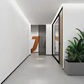 Modern Conference Room Interior With Glass Partitions Green Plants White Walls And Grey Flooring