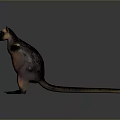 Exotic Animal with Extended Limbs Brown Pink Black Fur and Dynamic Stance Design