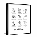 Black and White Framed Botanical Wall Art of Herbal Tea and Culinary Herbs