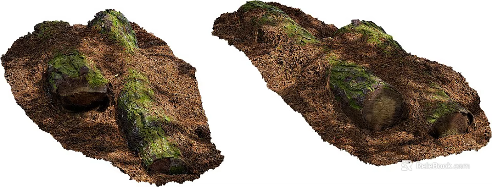 Natural Tree Roots Covered With Green Moss And Brown Soil Texture 3d model