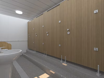 Modern Public Restroom With Wooden Stalls Sink And Bright Lighting Design 3d model