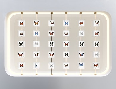 Butterfly Specimen Wall Decoration 3d model