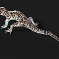gecko lizard palace animal pet cold-blooded animal reptile 3d model