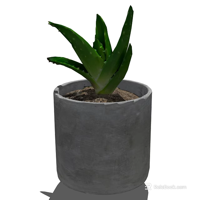 Healthy Green Aloe Vera Potted Plant in a Gray Concrete Pot 3d model 