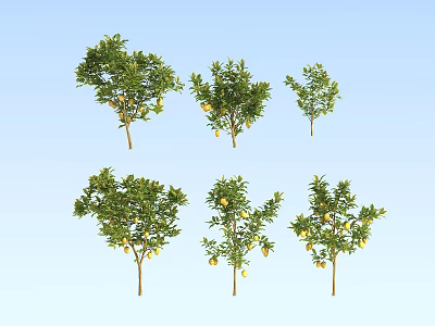 Green Leafy Arbor Trees With Yellow Fruits Against Blue Sky Backdrop 3d model