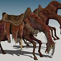 Three Red Reptiles with Saddle Like Gear Standing Head Down in Open Area
