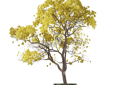 Vibrant Lush Yellow Leaf Arbor With Brown Trunk And Elegant Natural Shape 3d model