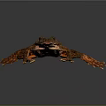 Orange and Brown Patterned Frog Stretched Out on Dark Background with Detailed Skin Texture