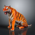 Sitting Tiger With Open Mouth And Orange Black Stripes On Gray Reflective Surface