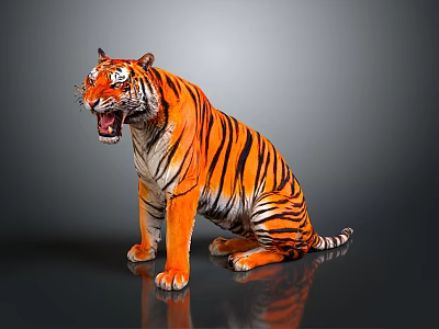 Sitting Tiger With Open Mouth And Orange Black Stripes On Gray Reflective Surface 3d model