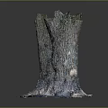 Wooden Tree Stump With Natural Stony Base Texture And Rustic Design Elements 3d model