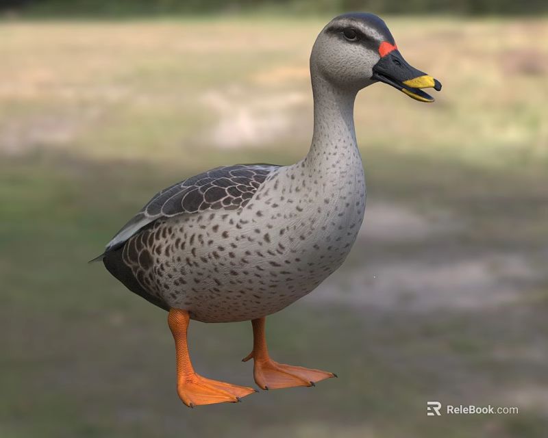 Spotted Reptile With Orange Limbs Standing On Green Grassy Background 3d model 