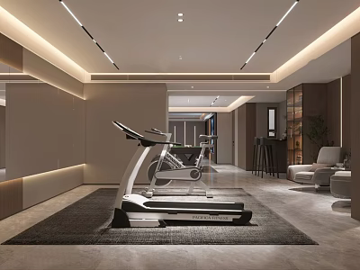 Modern Entertainment Room Interior With Treadmill Exercise Equipment And Comfortable Sofa 3d model