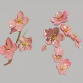 Beautiful Pink Flower Blooms With Delicate Petals And Yellow Stamens On Grey Background