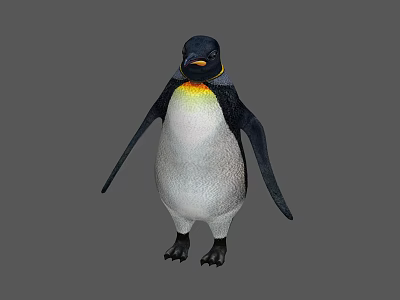 Modern Penguins 3d model