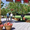 Scenic Park Landscape With Stone Archway Fruit Laden Pomegranate Trees And People Walking Along Path