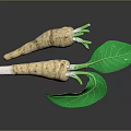 Two Fresh Parsnip Roots With Vibrant Green Leaves On Dark Background